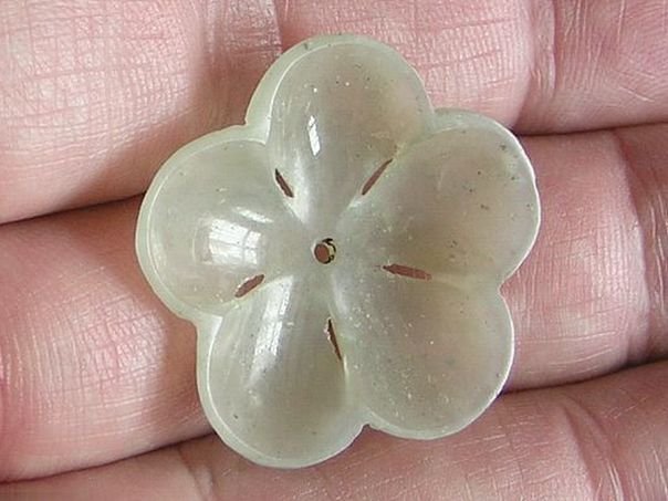 Flower 247 - (9623)